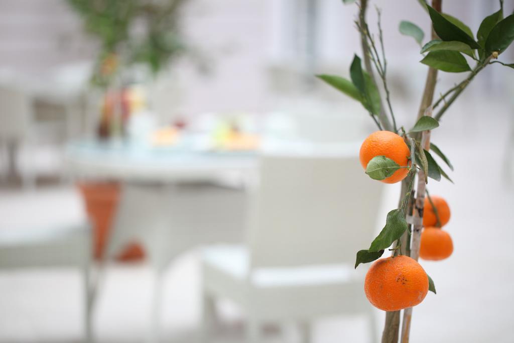 קוג'לי Luxor Garden Hotel מראה חיצוני תמונה